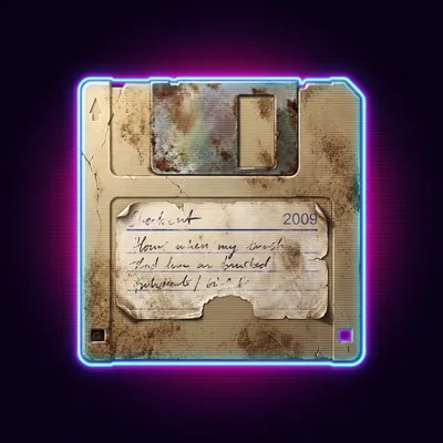 A cracked 3.5 inch floppy disk with a faded handwritten 2009 label.